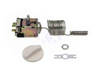 Термостат-0°C-ТАМ-113