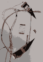 Набор-шлейфов-Panasonic-TX-49EXP600-AWM-20706-E97252