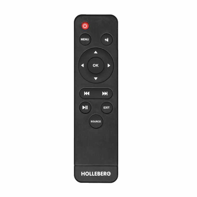 Пульт TV HOLLEBERG JXD-1299 - original
